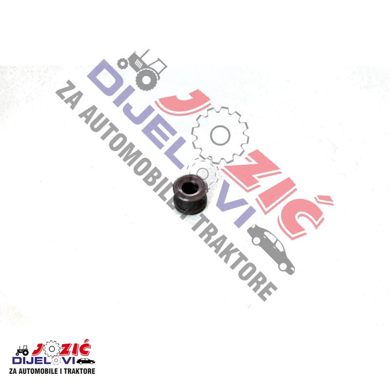 Daisy on the Ohoopee